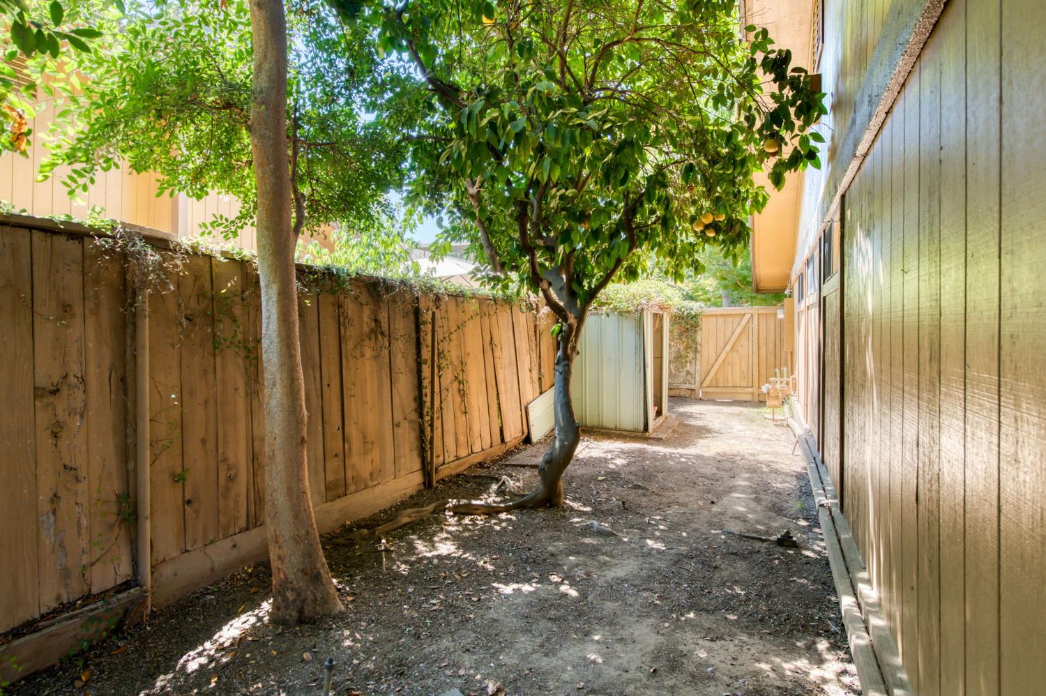 6300 N Palm Ave #105, Fresno, CA 93704